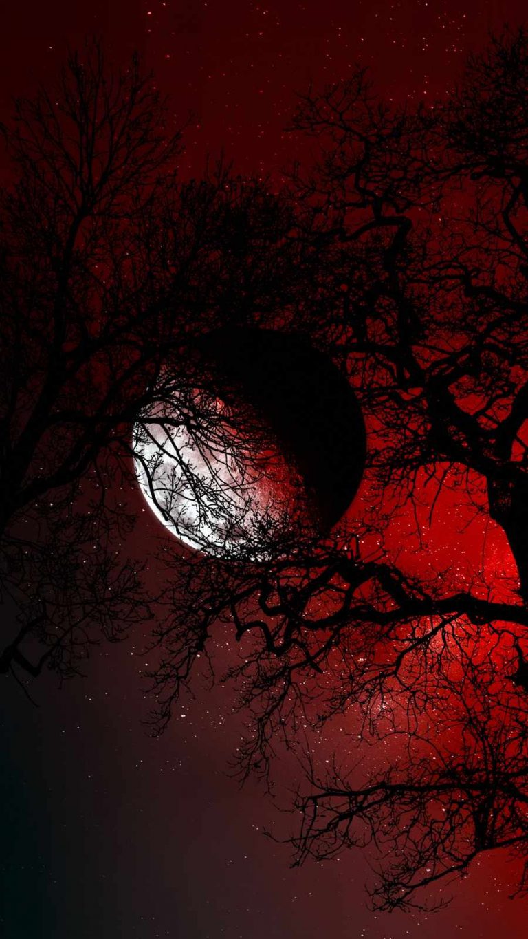 Moon Hiding in Tree - iPhone Wallpapers