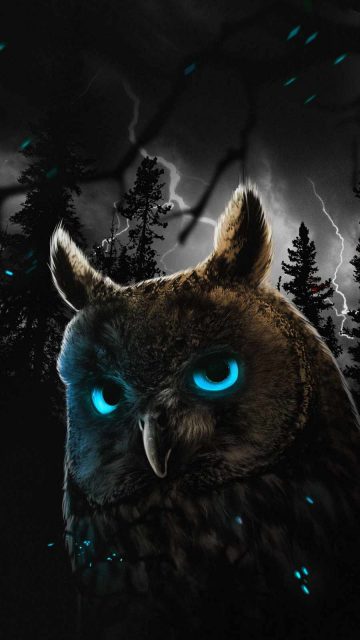 Mystic Owl iPhone Wallpaper