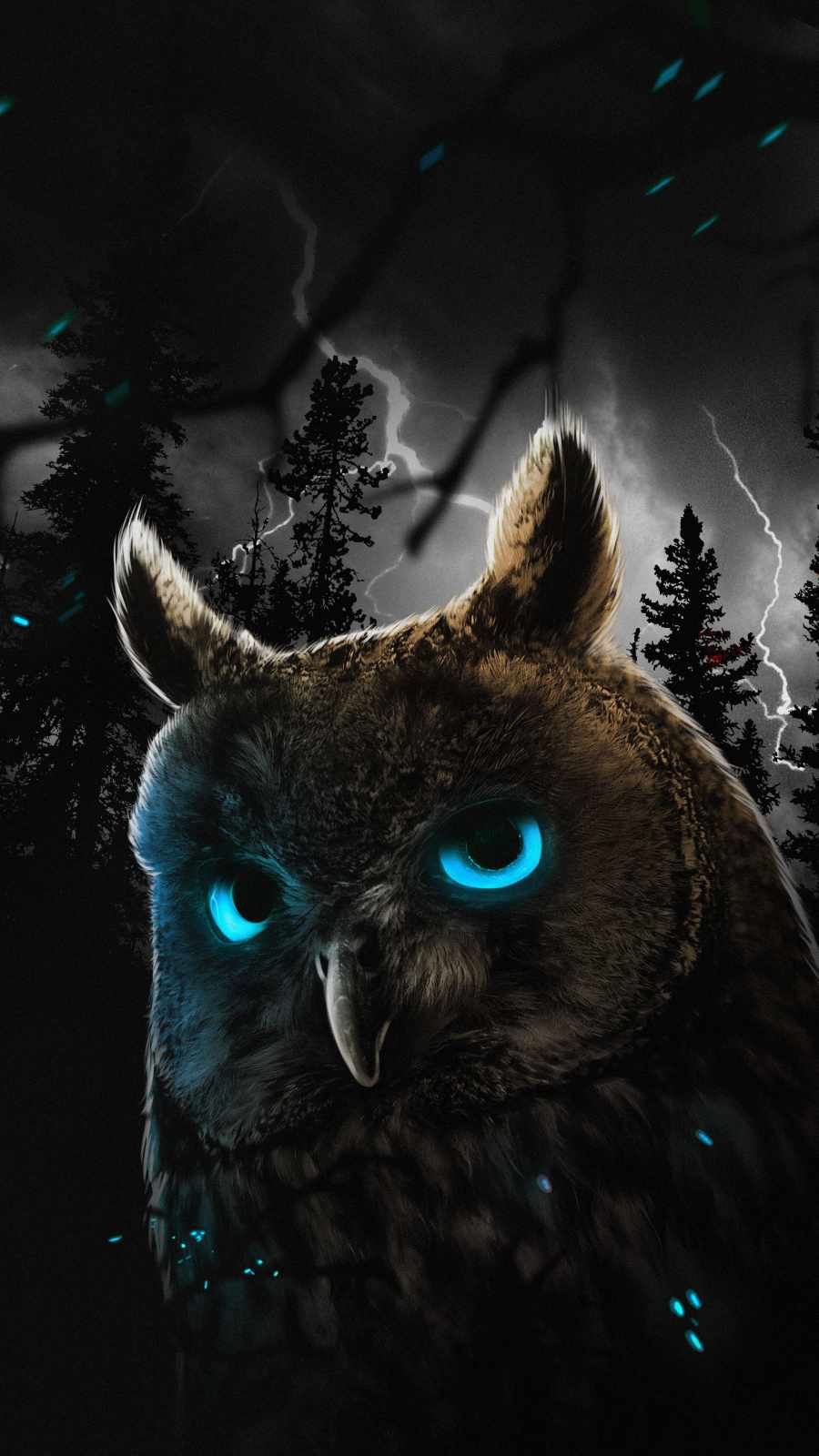 iPhone 5 Wallpapers Owl Wallpaper for iPhone 5