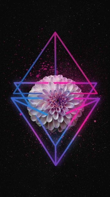 Neon Flower iPhone Wallpaper