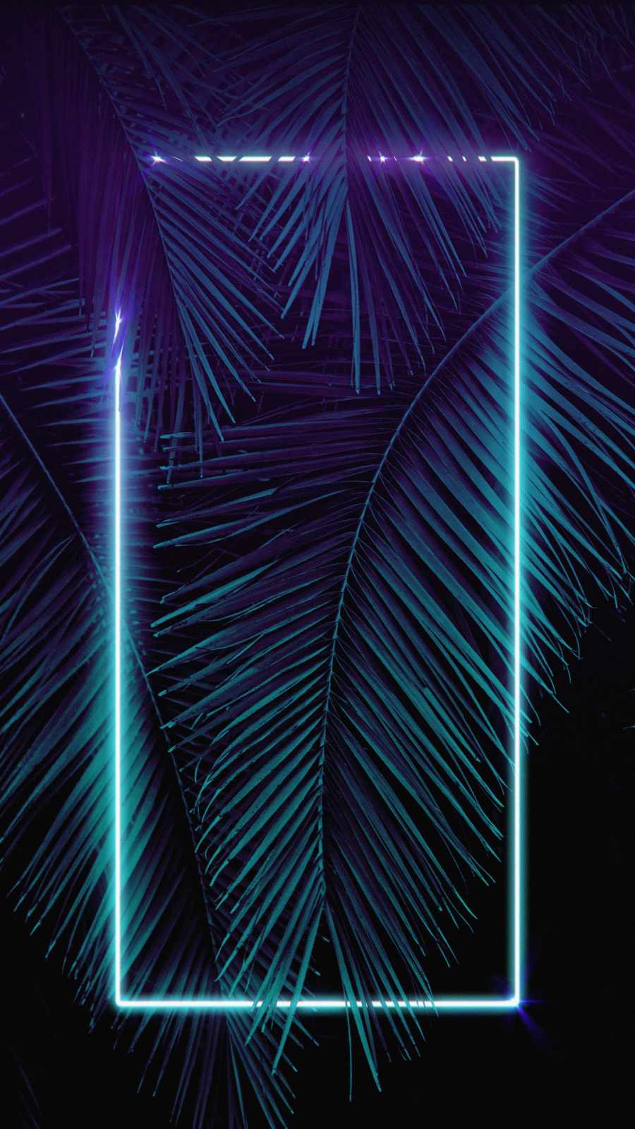 Neon Palm Tree Wallpaper 4K