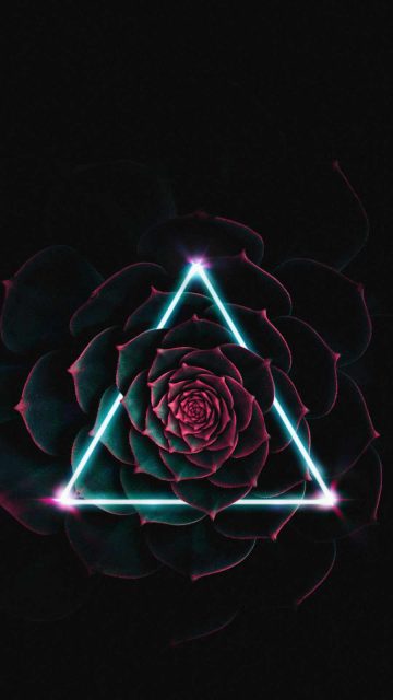 Neon Triangle Flower iPhone Wallpaper