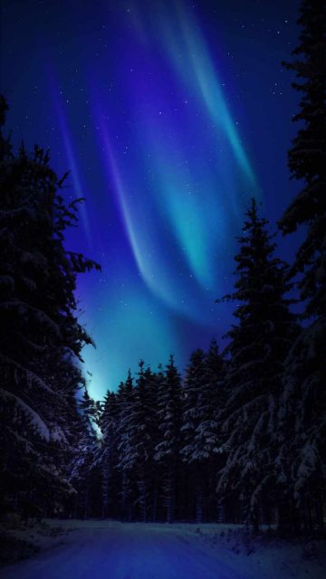 Northern Lights Snow Night