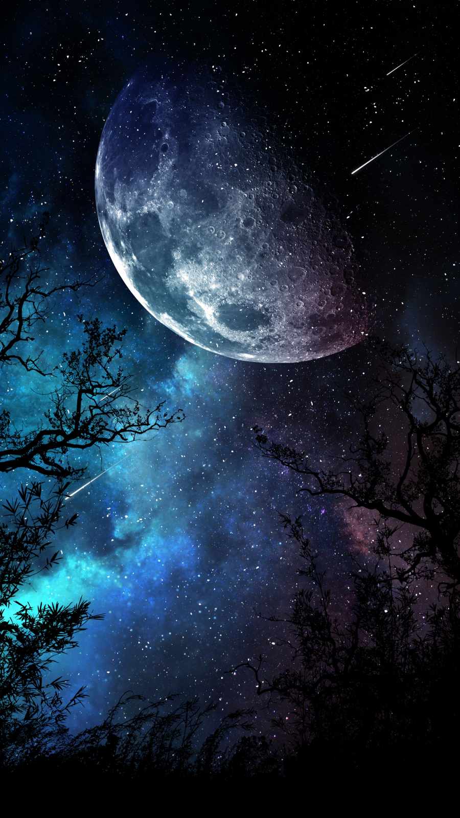 Starry Sky Night Moon