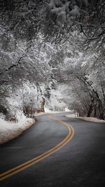 White Snow Black Road