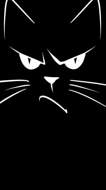 Angry Cat Face iPhone Wallpaper