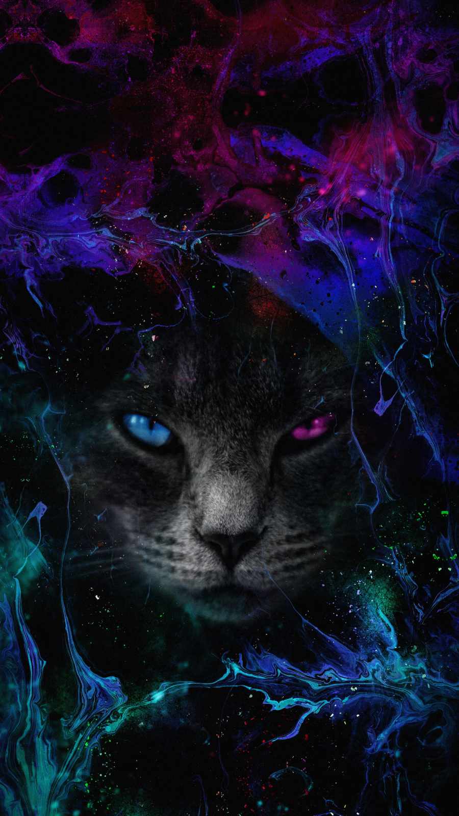 Blacl Cat Art iPhone Wallpaper