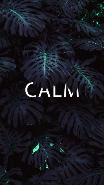 Calm Nature iPhone Wallpaper