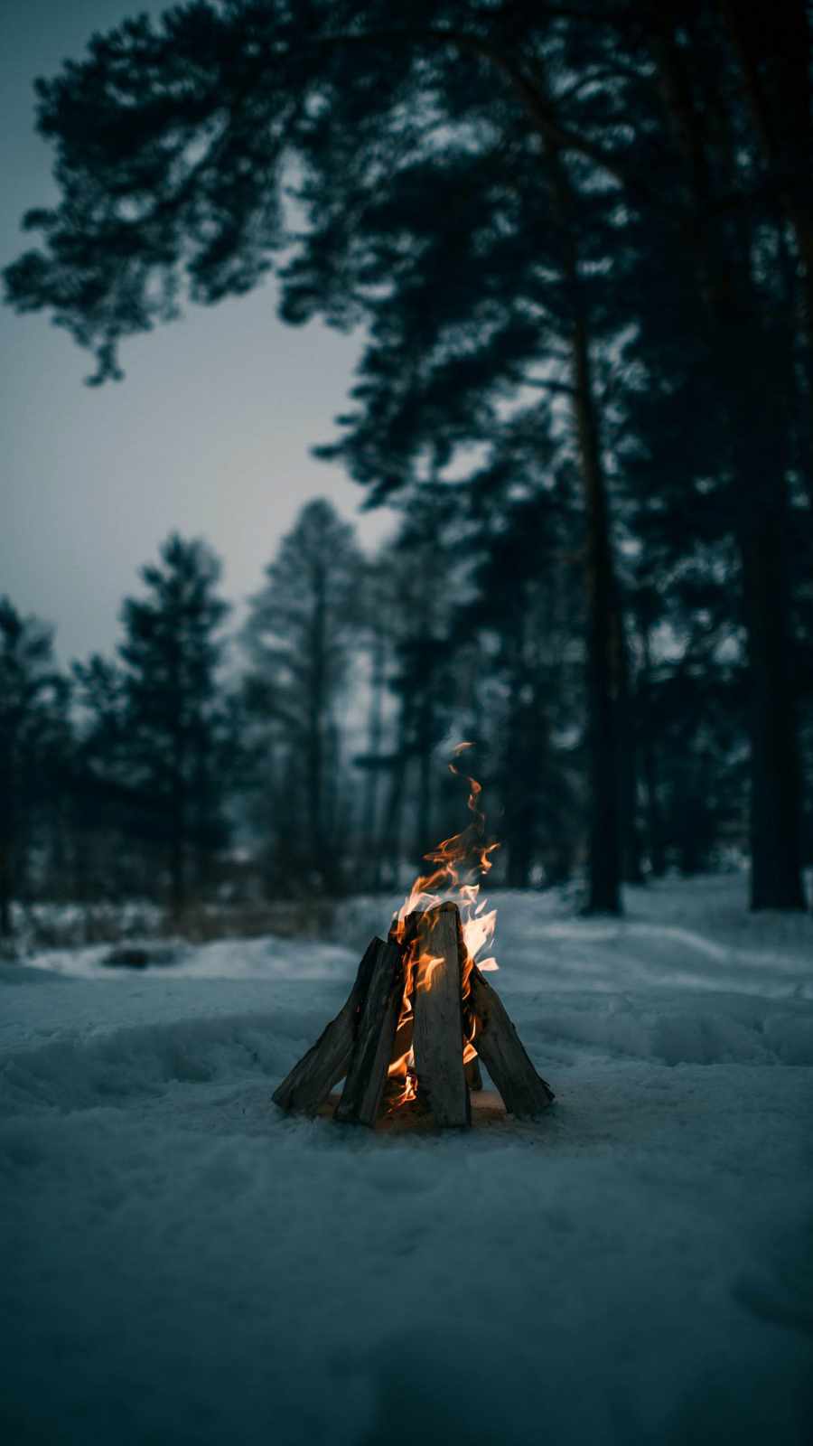 Camp Fire in Snow