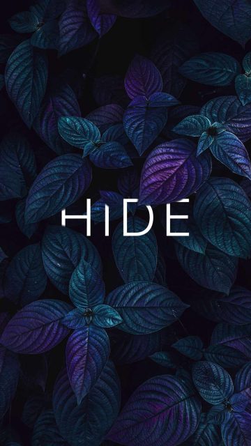 HIDE iPhone Wallpaper