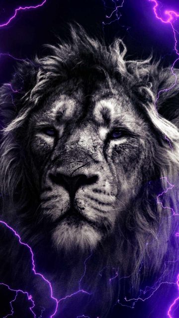 Lion Thunder iPhone Wallpaper