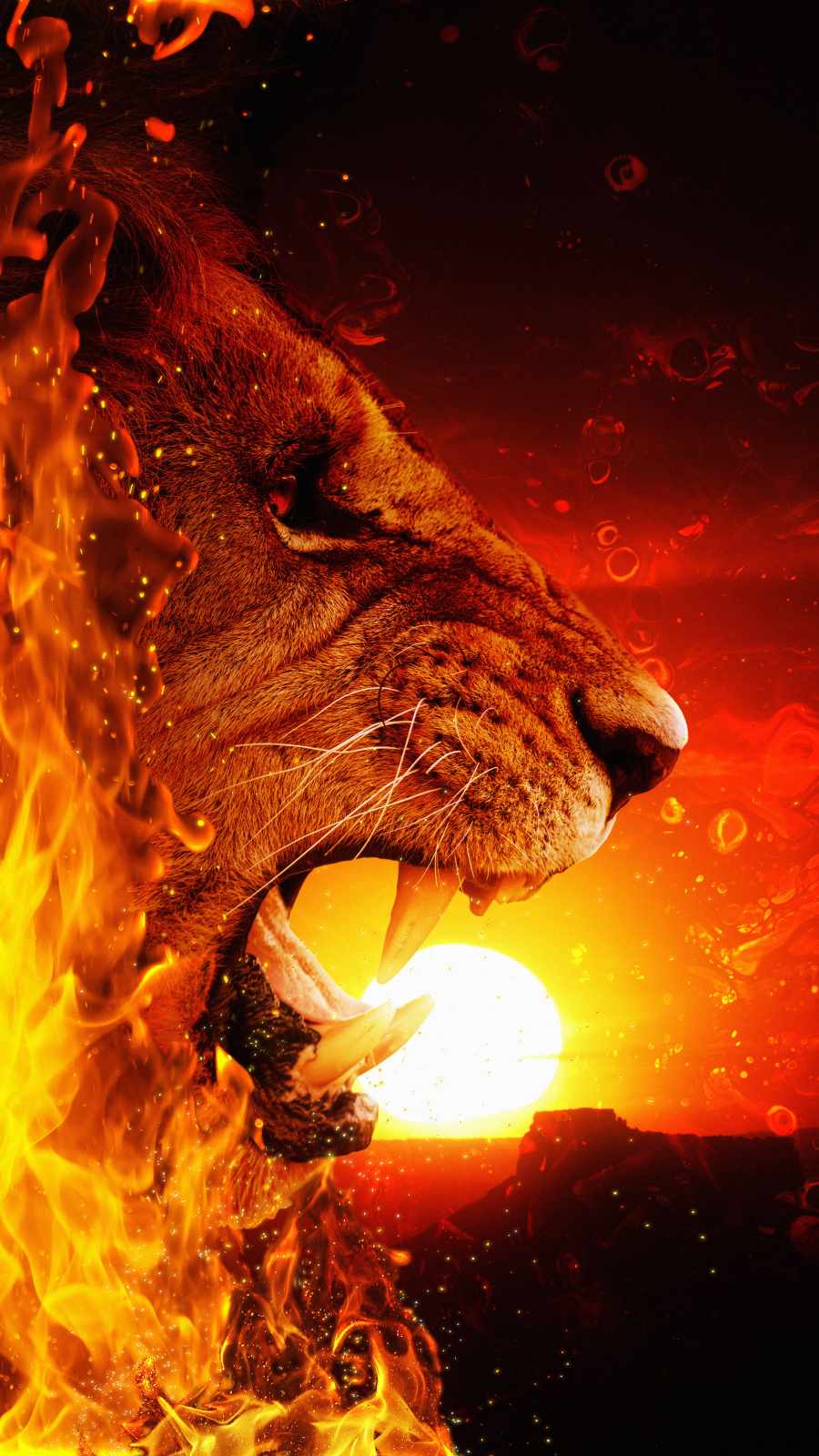 Lion on Fire iPhone Wallpaper