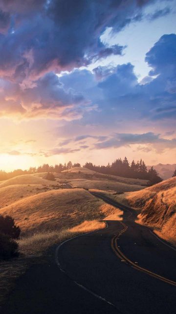 Nature Road iPhone Wallpaper