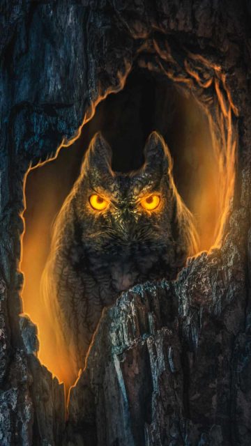 Night Owl iPhone Wallpaper