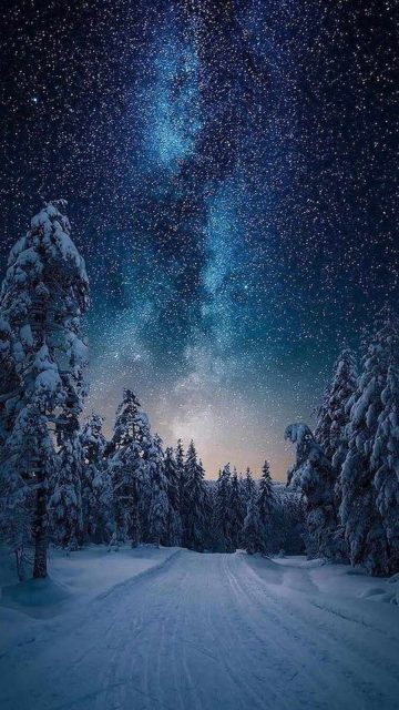 Northern Lights Starry Sky Snow Night