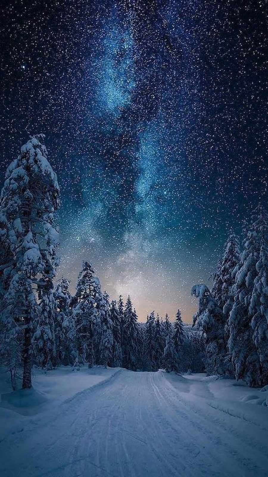 Northern Lights Starry Sky Snow Night