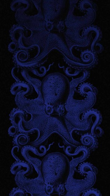 Octopus iPhone Wallpaper