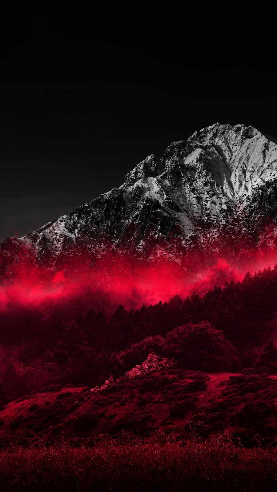 Red Forest Snow Mountain