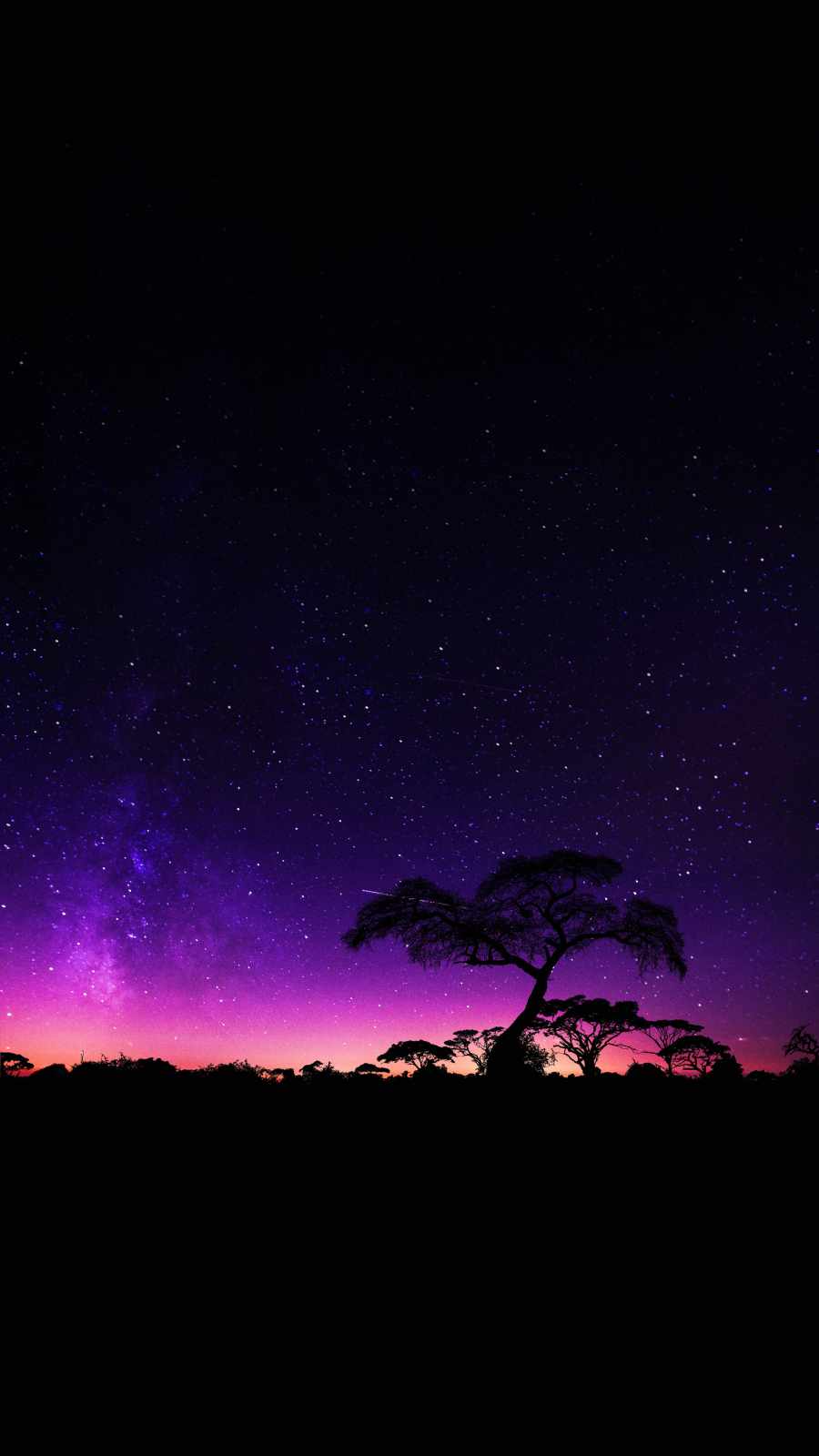 Starry Night Trees iPhone Wallpaper