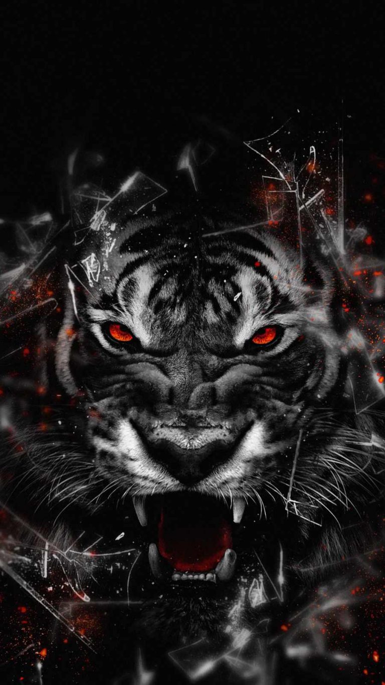 Tiger Attack iPhone Wallpaper - iPhone Wallpapers