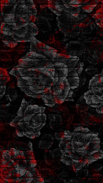 Black Roses iPhone Wallpaper