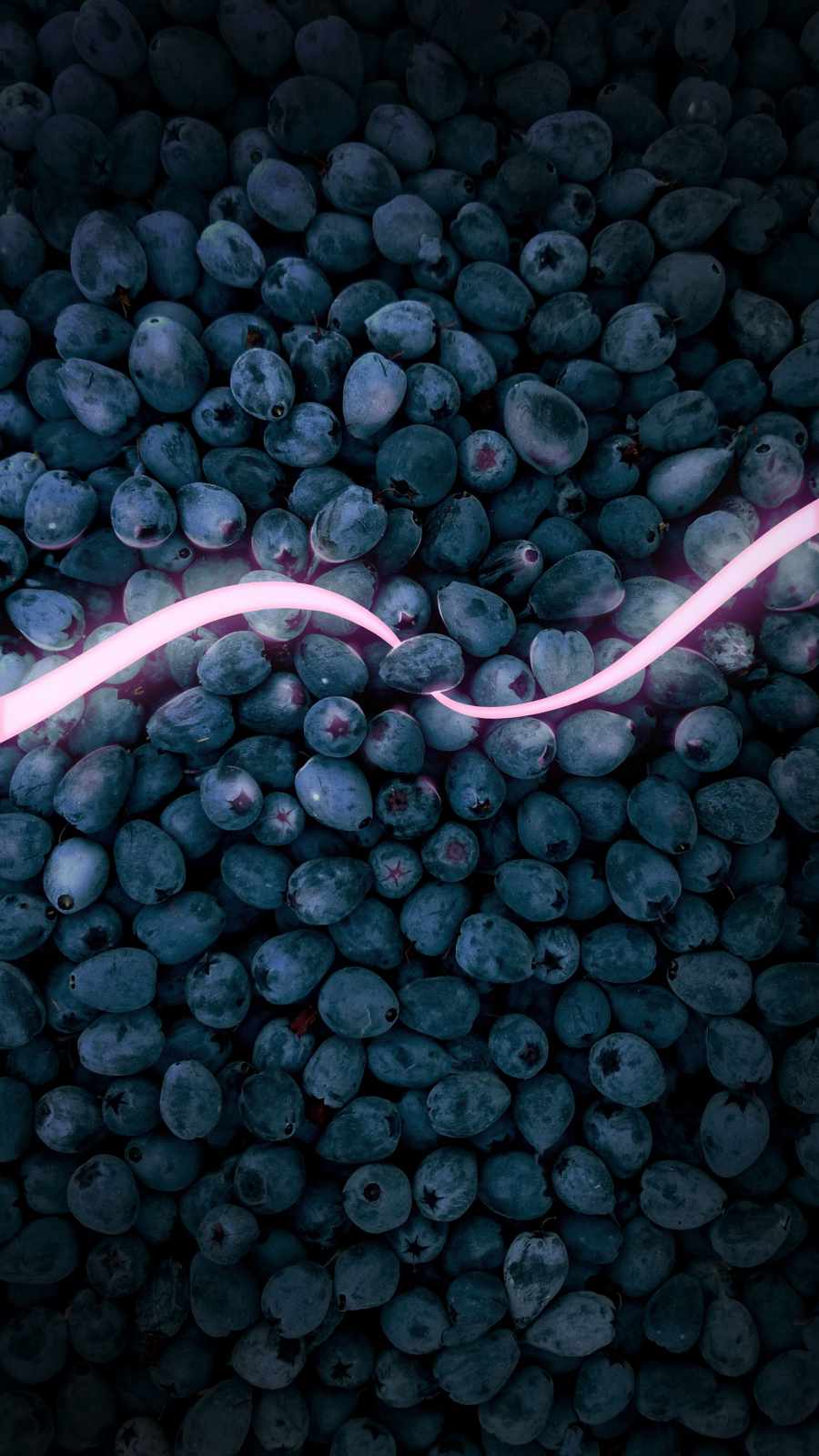 Blueberries iPhone Wallpaper