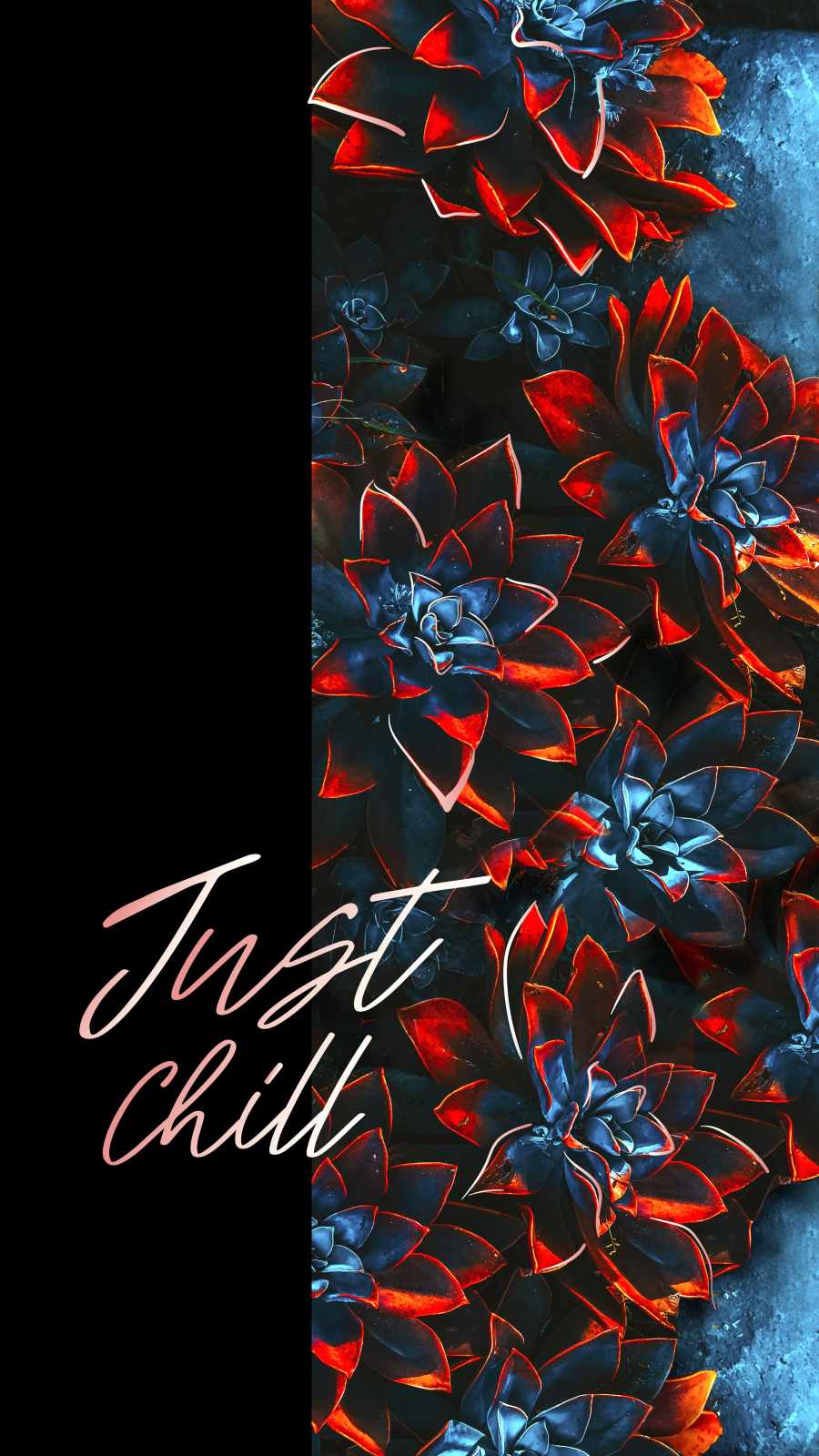 Chill iPhone Wallpapers  Wallpaper Cave