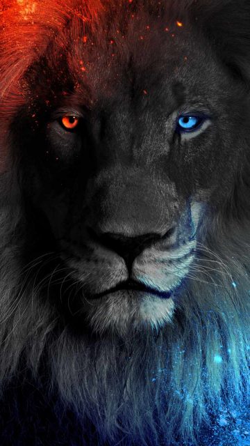 Lion King Face iPhone Wallpaper