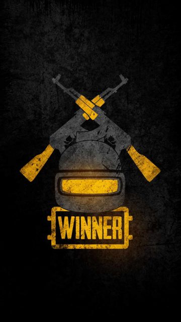 PUBG Battelgrounds Winner