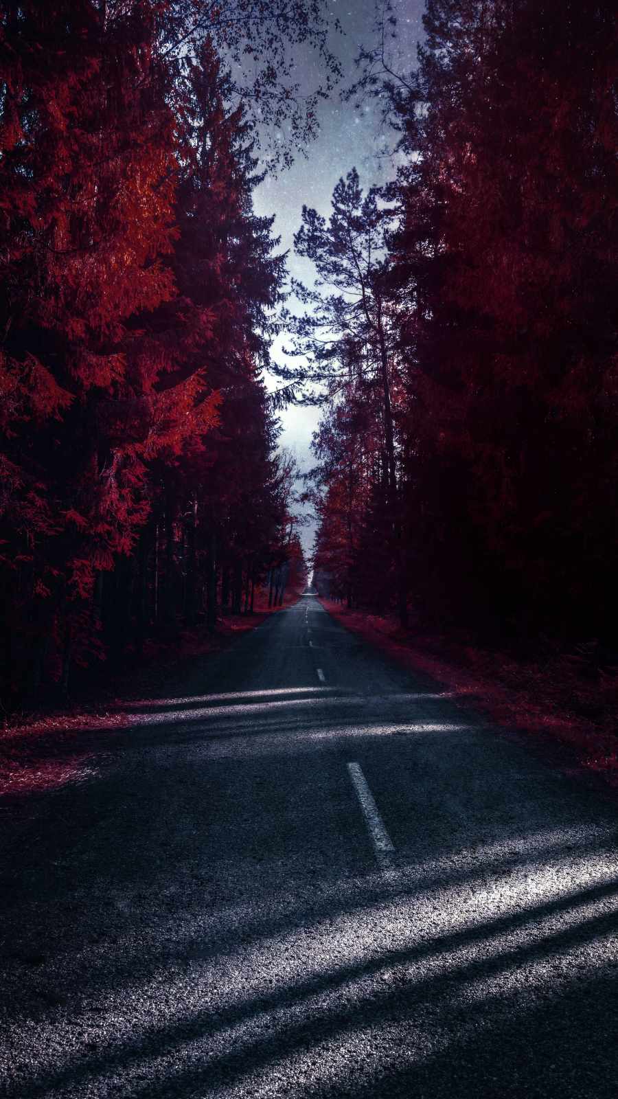 Red Nature Road