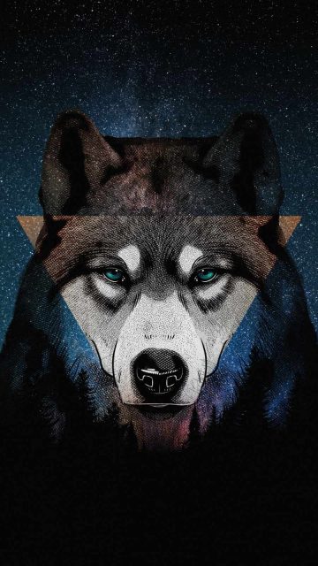 Husky Dog Art iPhone Wallpaper