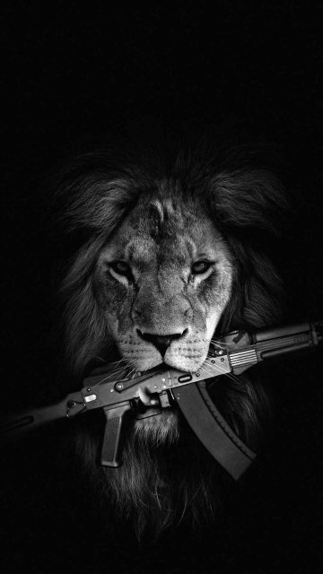 Lion with Gun iPhone Wallpaper