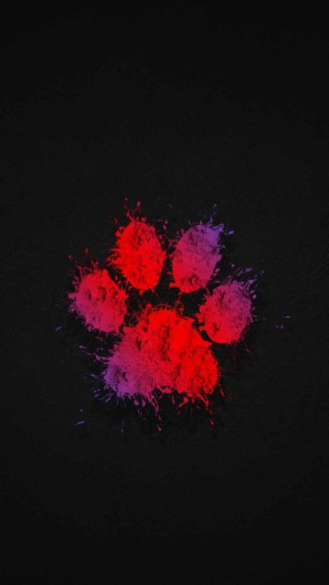 Paw iPhone Wallpaper