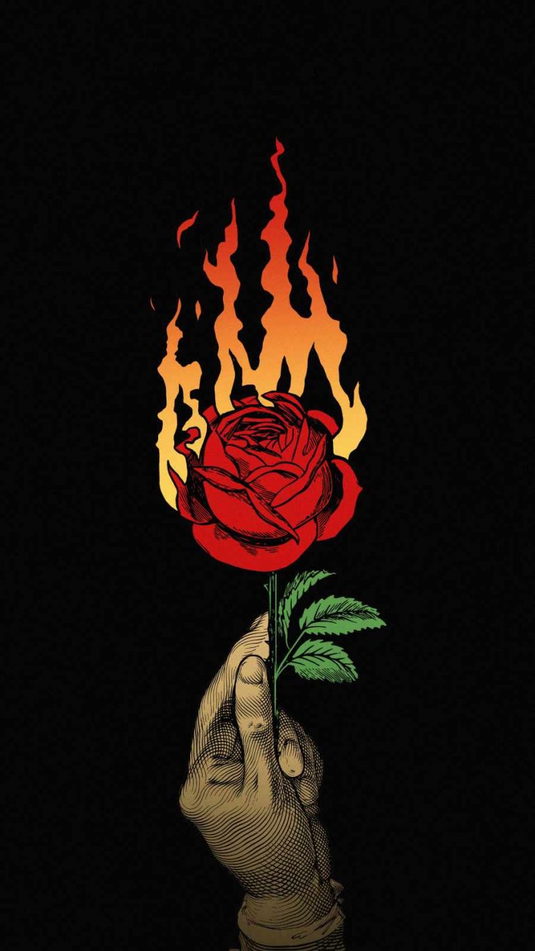 Burning Rose IPhone Wallpapers iPhone Wallpapers