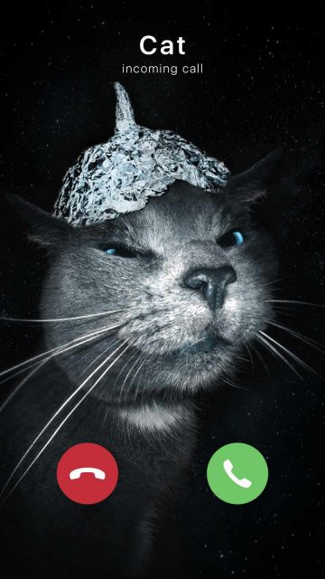 Cat Calling