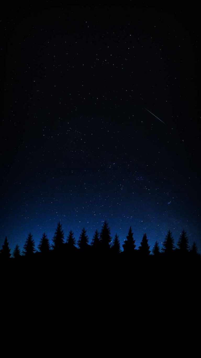 Night Forest Sky - IPhone Wallpapers : iPhone Wallpapers