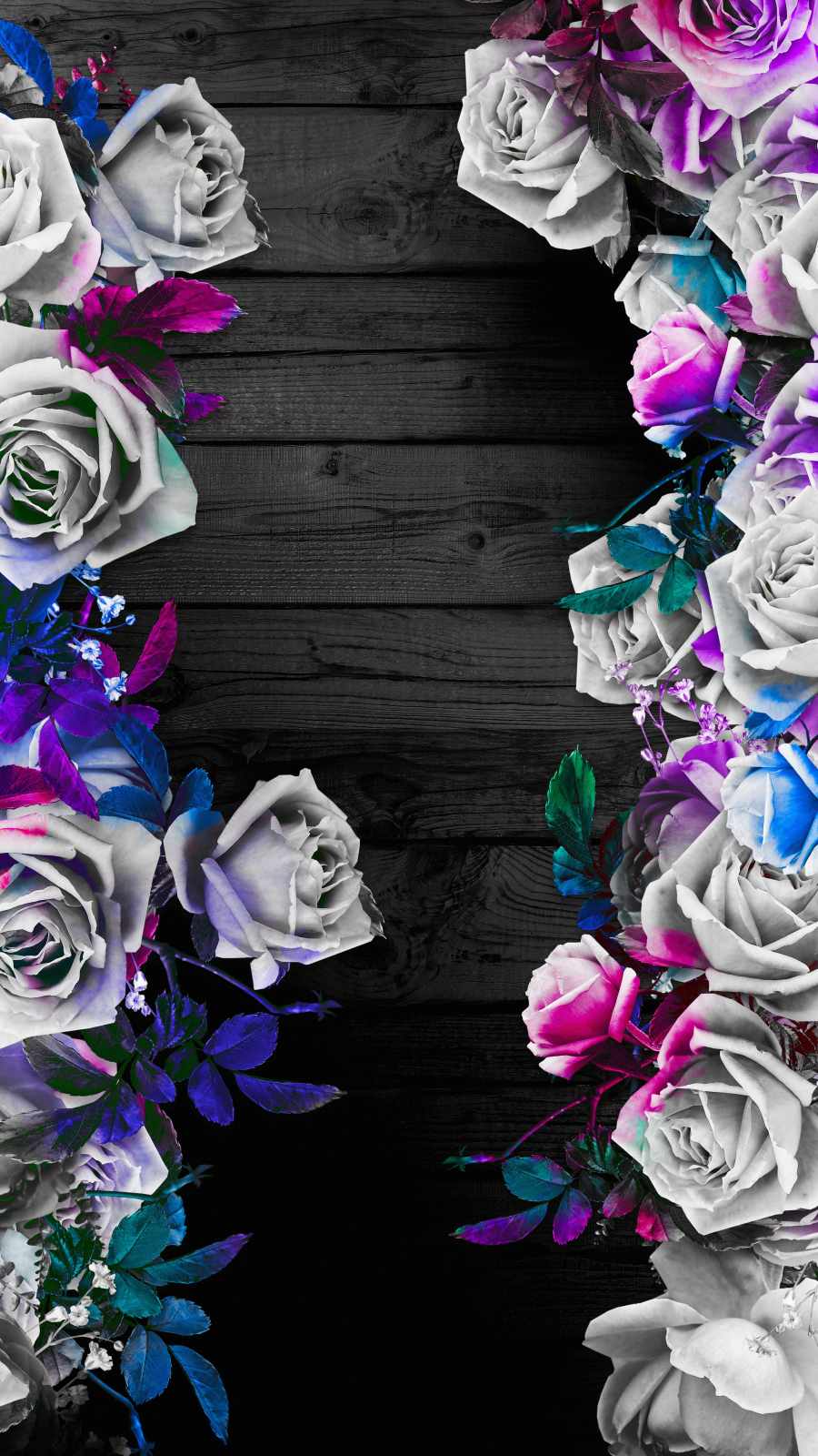 Rose Background