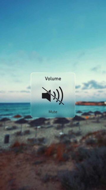 Volume Mute
