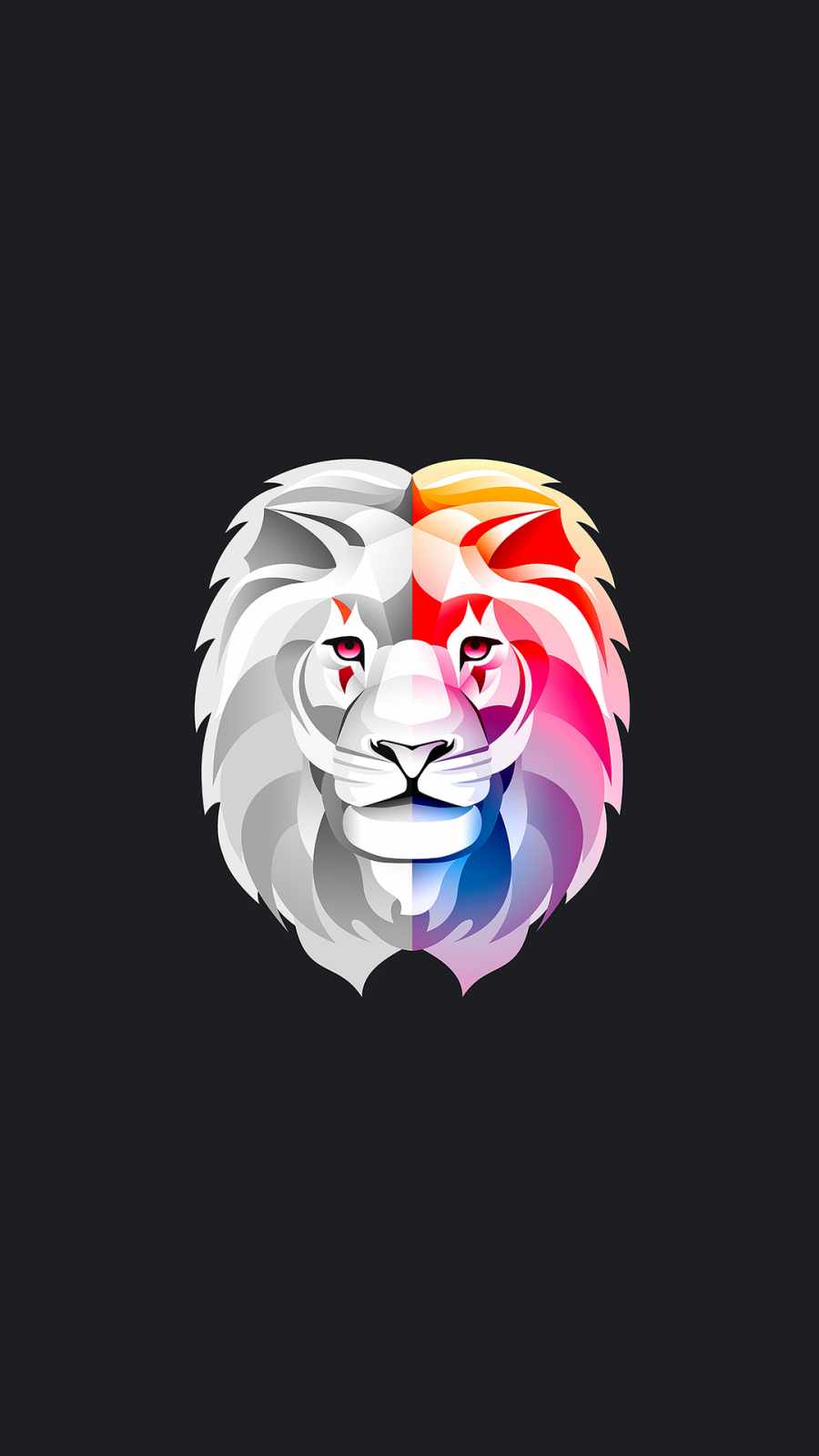 lion colorful abstract