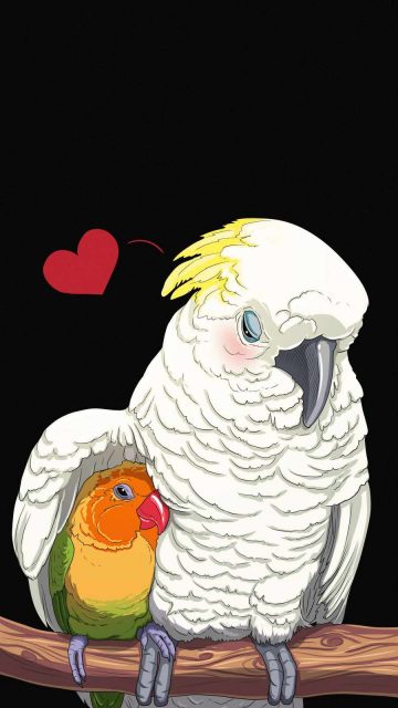 Bird Love iPhone Wallpaper
