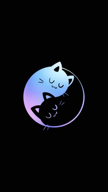 Cat Yin Yang iPhone Wallpaper