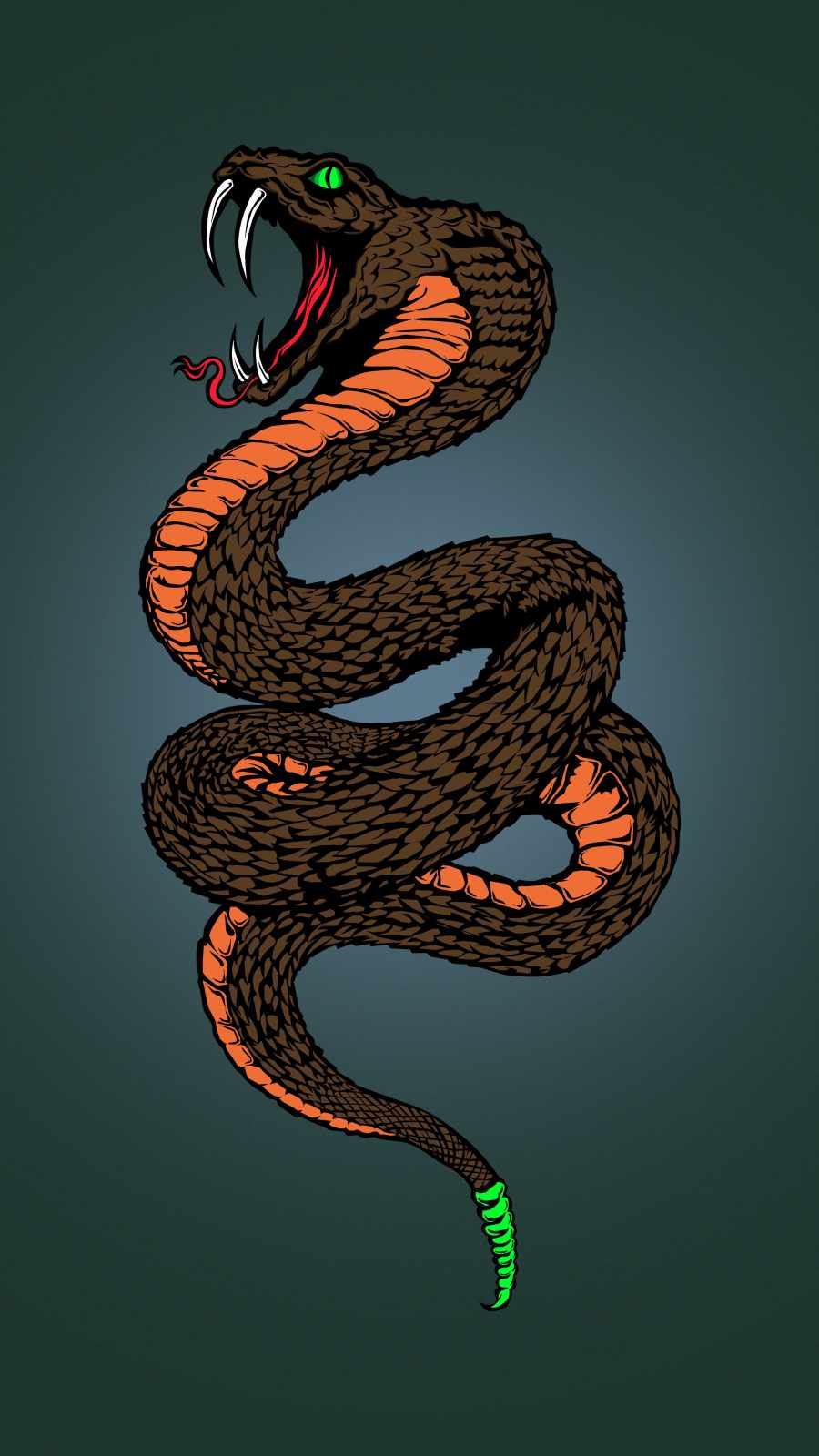Cobra Snake iPhone Wallpaper