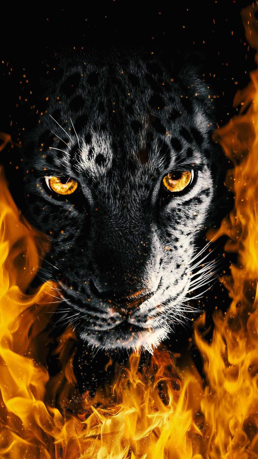 Fire Predator iPhone Wallpaper