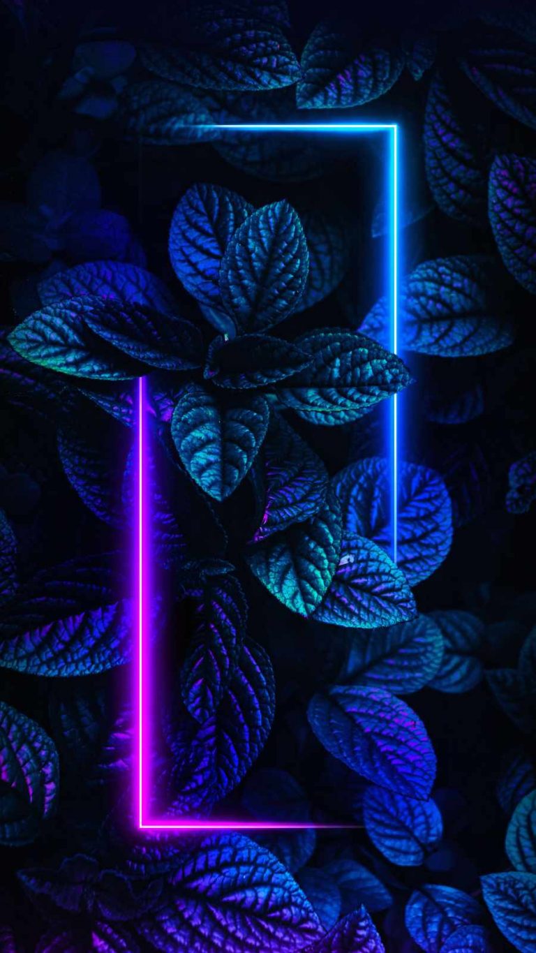 Foliage Neon Nature iPhone Wallpaper » iPhone Wallpapers