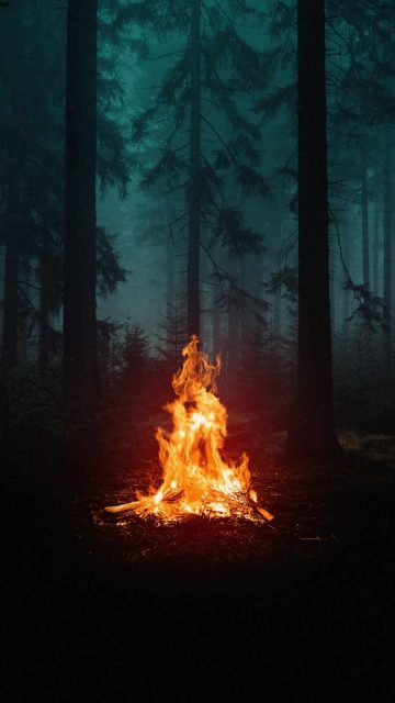 Forest Camping Fire iPhone Wallpaper