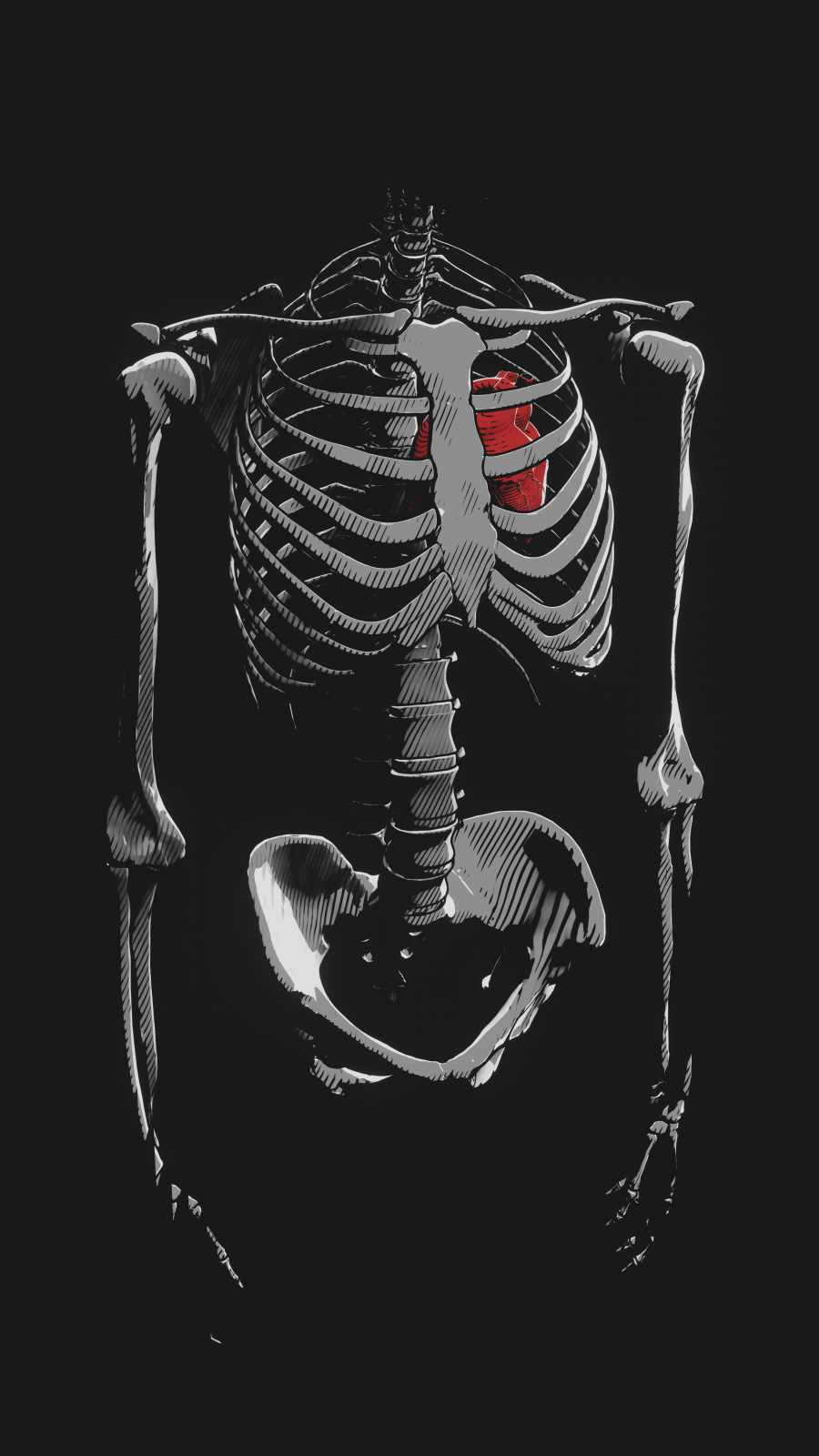 Heart in Skeleton iPhone Wallpaper
