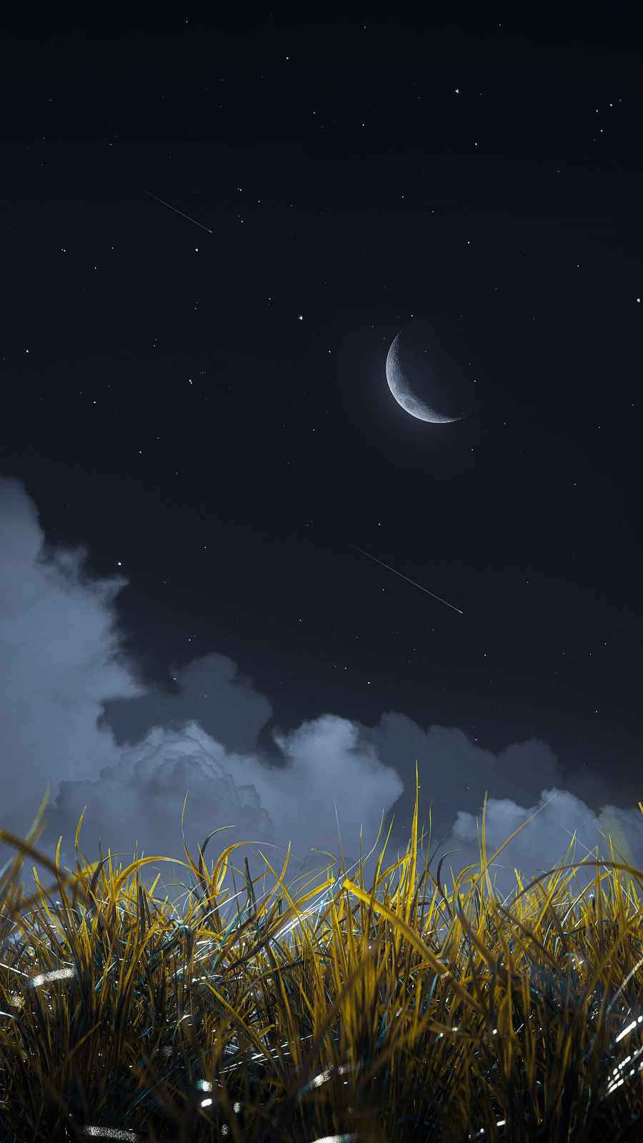 Night Nature iPhone Wallpaper