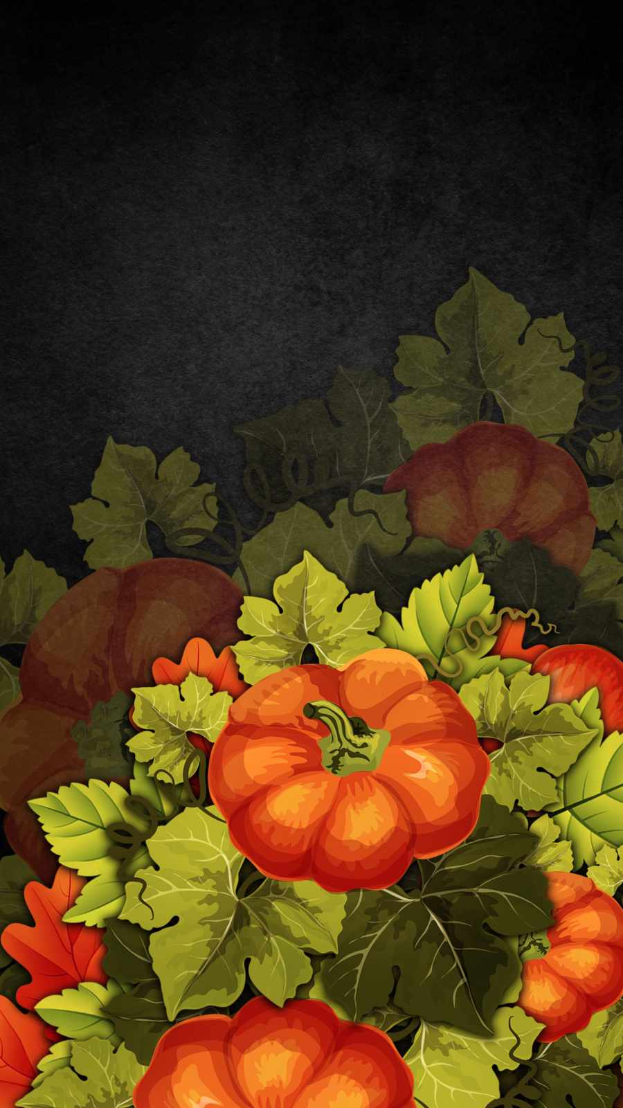 Pumpkin Plant iPhone Wallpaper