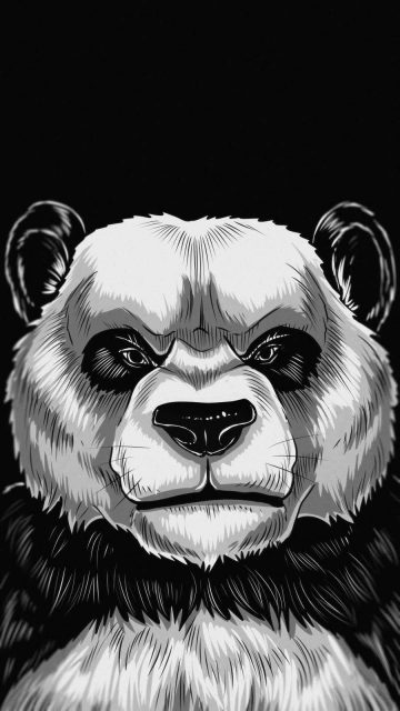 Angry Panda iPhone Wallpaper