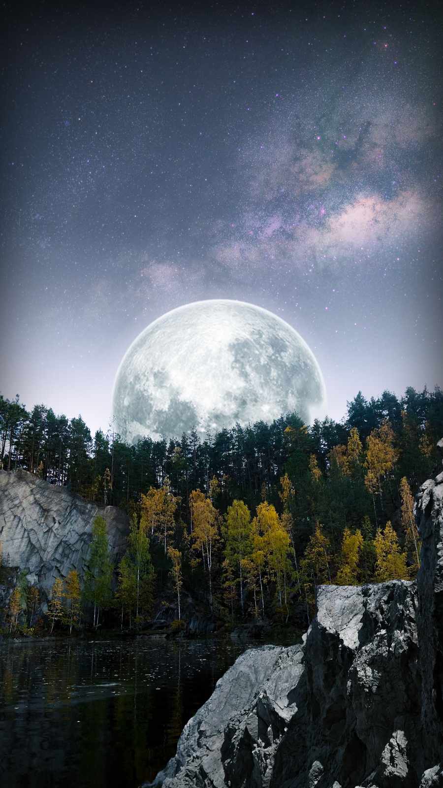 Big Moon Forest iPhone Wallpaper